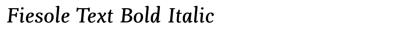 Fiesole Text Bold Italic image